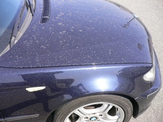 E46-f004.jpg