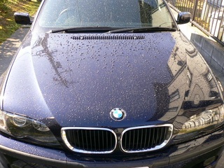 E46-f010.jpg