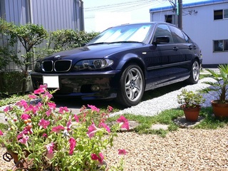 E46-f134.jpg
