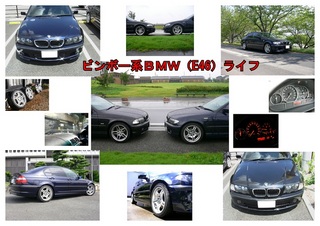 E46-f178.jpg